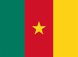 [ai] The national flag of Cameroon featuring three vertical stripes: green on the left, red in the center with a yellow five-pointed star, and yellow on the right.